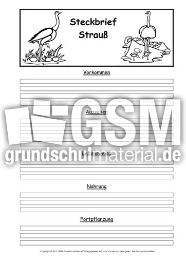 Steckbriefvorlage-Strauß.pdf